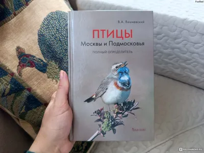 Птицы Москвы | FranchExpert