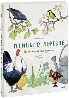 Книга \"Птицы\" Рахчеева М.В - купить в Германии | BOOQUA.de