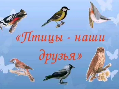 Какой будет весна в Нижегородской области 11 марта 2023 года | Нижегородская  правда