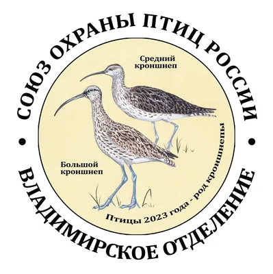 Птицы новгородской области - 63 фото