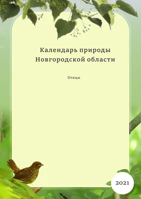 Из-за рекордно тёплой зимы некоторые птицы остались на новгородскую зимовку  | Новгородские Ведомости