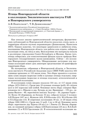 В Великом Новгороде заметили самых маленьких птичек на территории России и  Европы - 53 Новости