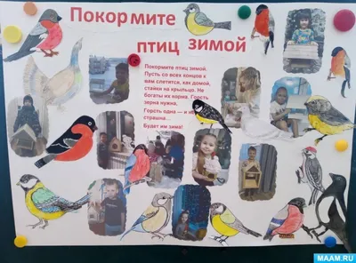 Соловьи с плохими песнями прилетели в Новосибирск