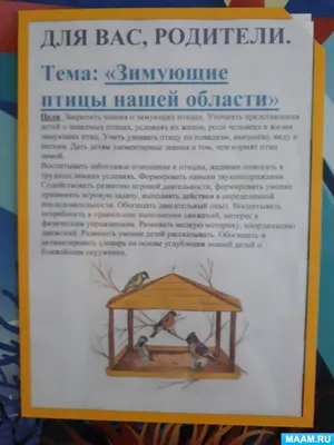 Производство мяса птицы в Новосибирской области выросло на 9%