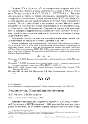 Мини-экспедиция по Карасукскому району 5-13 августа 2020 г.