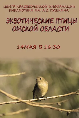 Омск-300. Лекция 41. \"Экзотические птицы Омской области\", 14 мая 2019  16:30, Омская государственная областная научная библиотека имени А. С.  Пушкина - Афиша Омска