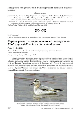 Животные Омской области: перечень, фотографии и краткое описание