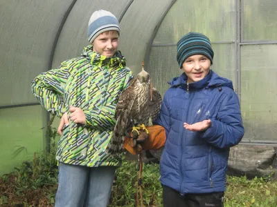 Первые перелётные птицы стали возвращаться в Омскую область - Новости Омска  - om1.ru