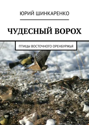 Красная книга Оренбургской области: