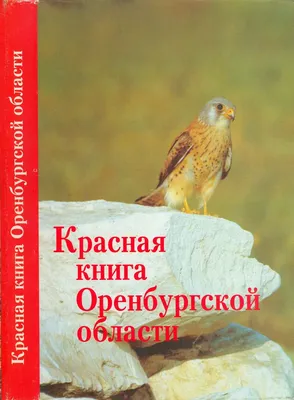 Животные и птицы Оренбургской области презентация, доклад, проект