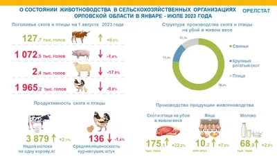 Птицы Орловской области - фото с названиями и описанием [хищные, зимующие,  перелетные, дикие, певчие]