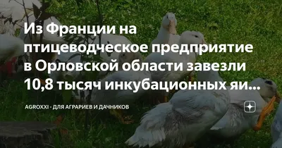 Молодёжная информационно-патриотическая акция добра “Мир детям мира!”,  посвященная Дню солидарности в борьбе с терроризмом. – БУКОО “Орловский  областной центр народного творчества”