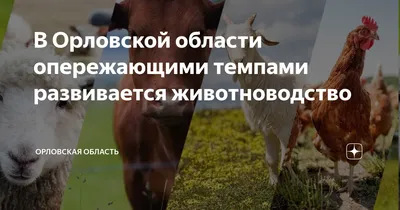 Орловские спасатели вновь освободили птицу из ледяного плена