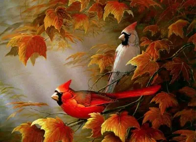 Птицы осенью - 76 фото
