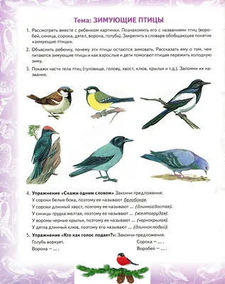 Зимние птицы Подмосковья | Пикабу
