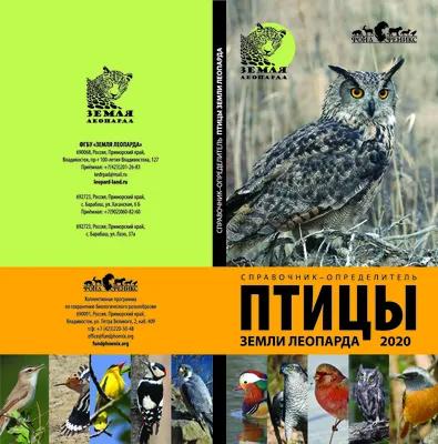 Приморье 2016 (часть 4) - Дневник наблюдений птицДневник наблюдений птиц