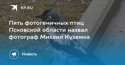 Виртуальный природный гид Псковской области