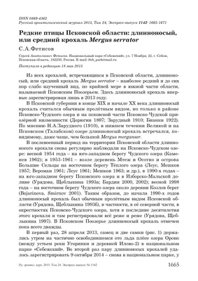 ПТИЦЫ ПСКОВСКОЙ ОБЛАСТИ: ЛУТОК MERGELLUS ALBELLUS – тема научной статьи по  биологическим наукам читайте бесплатно текст научно-исследовательской  работы в электронной библиотеке КиберЛенинка