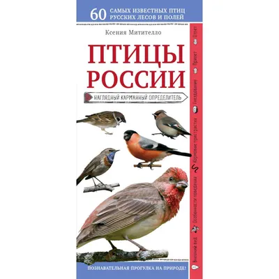 Птицы России. Наглядный карманный определитель — купить книги на русском  языке в DomKnigi в Европе