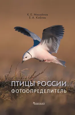 Птицы России (4 табл., винил) | Лаборатории под ключ