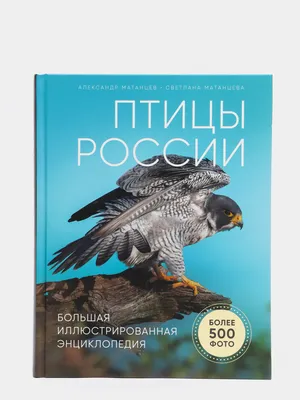 Водоплавающие болотные и полевые птицы России | Амурский Берег -  территория, свободная для творчества