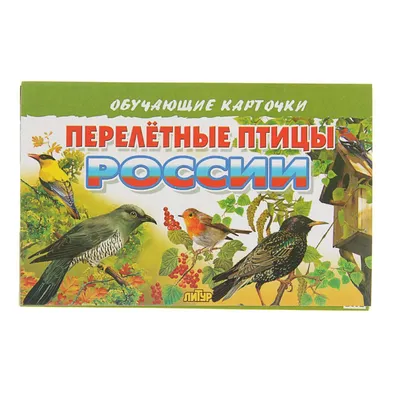 Отзывы о книге «Лесные птицы России», рецензии на книгу Константина  Михайлова, рейтинг в библиотеке Литрес