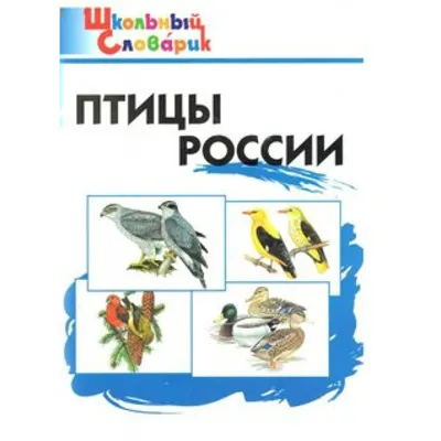 Эндемики России: какие птицы живут только в нашей стране? - Новости РГО