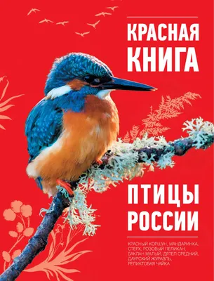 Певчие птицы России.. Листы
