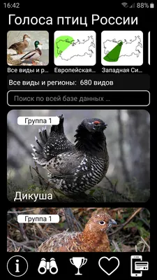 Купить Птицы России в Минске в Беларуси | Стоимость: за 41.22 руб.