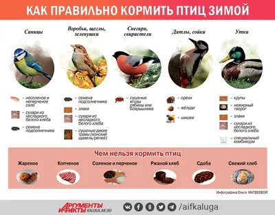 Зимующие птицы России - карточки Монтессори купить и скачать | Зима, Россия,  Птицы