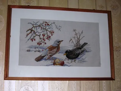 Птицы зимой и их зимние голоса | Документальные фильмы о птицах | Дзен