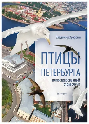 Зимующие птицы Санкт-Петербурга - презентация онлайн