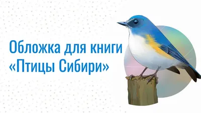 Карандаш 18 цветов Птицы Сибири цена от 96 руб. купить в аптеках Апрель,  инструкция по применению