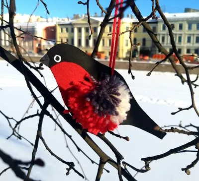 Комитет по природопользованию призывает петербуржцев заботиться о птицах -  Экологический портал Санкт-Петербурга