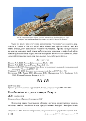 Издан аннотированный список птиц Алтайского заповедника — Алтайский  биосферный заповедник