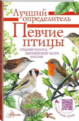Плакат. \"Птицы средней полосы России. Перелётные.\" | Логомаг
