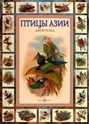 Крупные птицы средней полосы россии - 50 фото