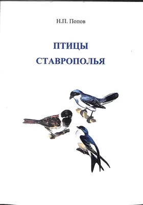 Calaméo - Птицы Ставрополья Н Попов