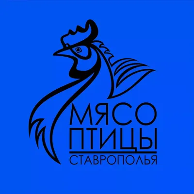 На Ставрополье вновь зафиксировали массовую гибель птиц - Портал Северного  Кавказа