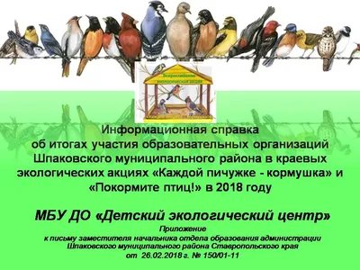 Свалки на Ставрополье могут стать причиной распространения гриппа птиц |  22.05.2023 | Ставрополь - БезФормата