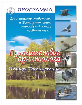 В Татарстане предупредили об угрозе птичьего гриппа из-за перелетных птиц -  KP.RU