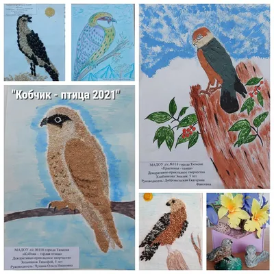 Птицы Тюмени и Тюменской области - фото с описанием и названием