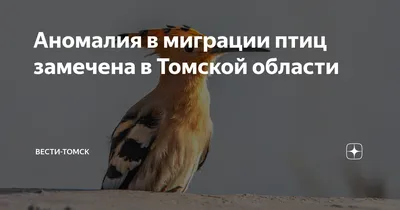 Птицы Томской области - online presentation