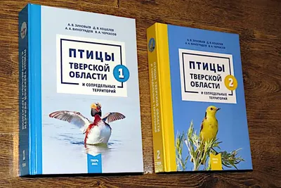 Приложение. Конкурс ко Дню Птиц (Избушка На Седьмом Небе) / Стихи.ру