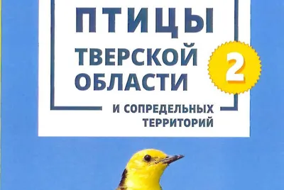 Великое сердце»: студентка Настя спасает птиц по всей Тверской области |  ОБЩЕСТВО: События | ОБЩЕСТВО | АиФ Тверь