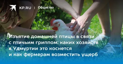 В Удмуртии могут разрешить охоту на ворон и бакланов // ИА Сусанин -  проверенные новости Ижевска и Удмуртии, факты и описания событий.