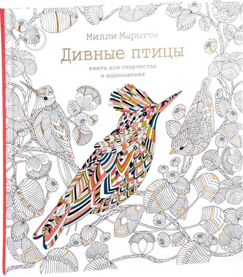 Карточки Домана Птицы купить | Киев Украина | В интернет-магазине