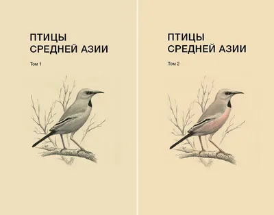 Birds.uz — Птицы Узбекистана
