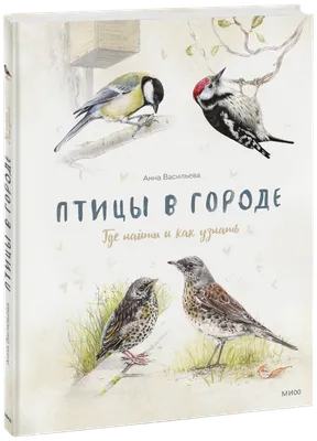 Птицы в городе (Анна Васильева) — купить в МИФе