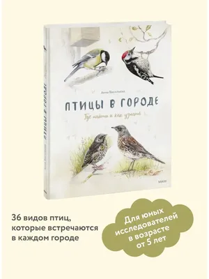 Каких птиц можно чаще всего увидеть из окна в Алматы?